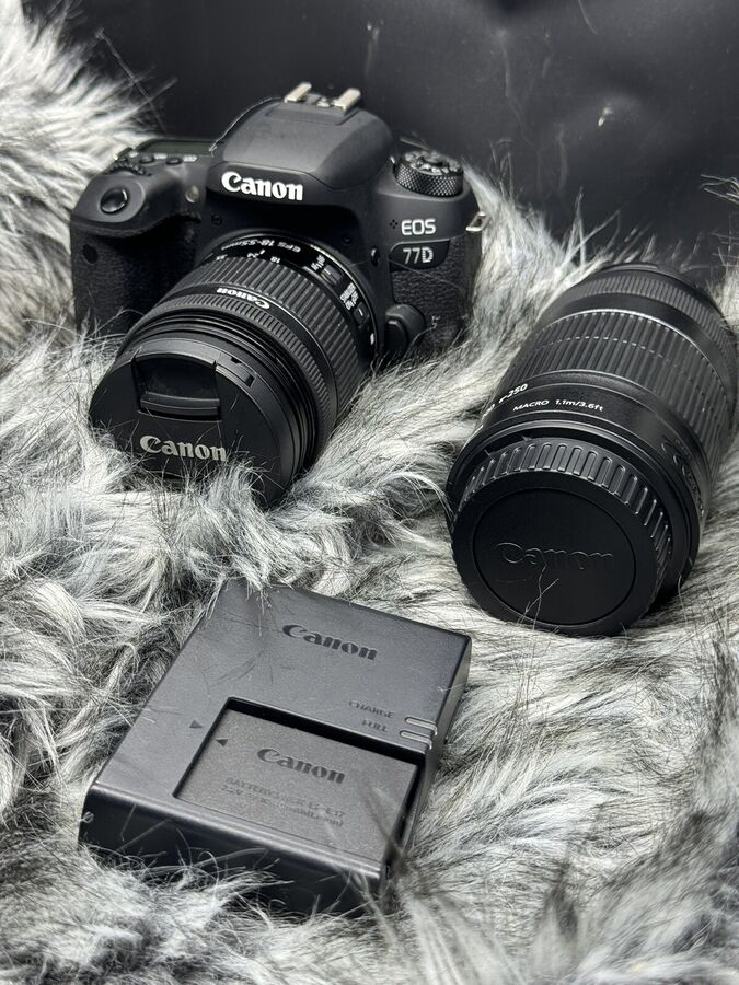 Canon EOS 77D 24.2 MP Digital SLR Camera with EF-S 18-55mm & EF-S 55-250mm Lenses